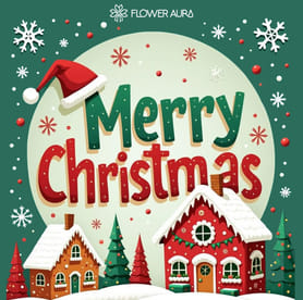 merry christmas wishes